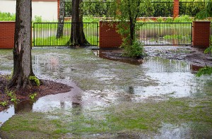 A muddy backyard with puddles after spring rain